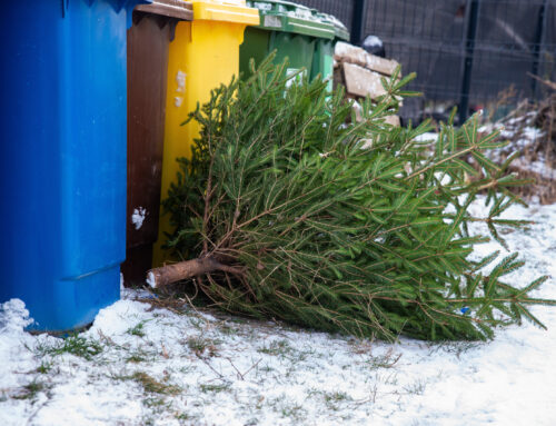 Setting Expectations for Your Trash Bin Cleaning Business During the Holidays