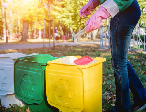 Sharing Your Eco-Friendly Bin Cleaning Practices With the Proper Marketing