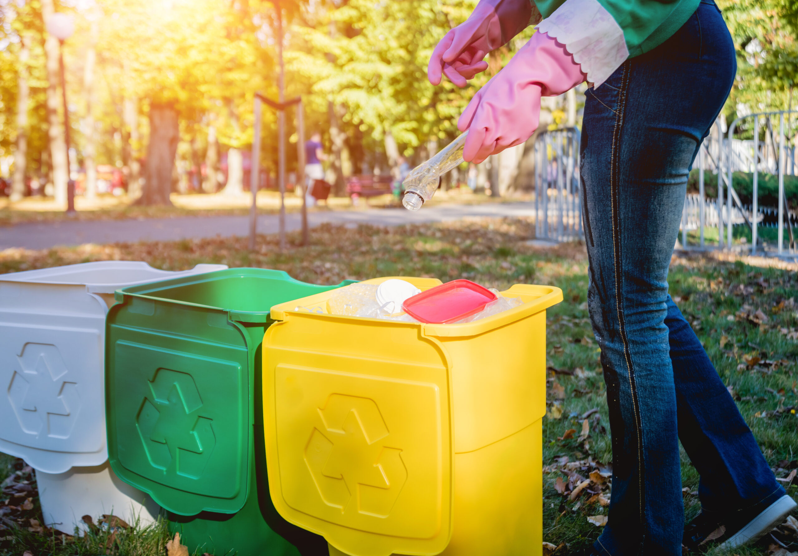 Eco-Friendly Bin Cleaning