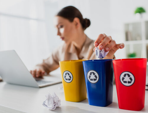 SEO Agency vs. In-House Team: What’s Best for Your Bin Cleaning Business?