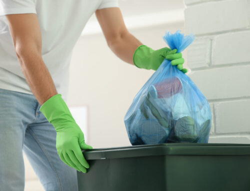 Understanding the Customer Journey for Bin Cleaning Services