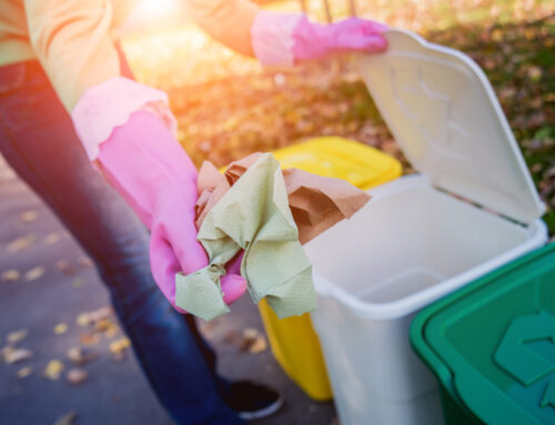 Google Ads For Your Bin Cleaning Business: How We Manage Your Budget