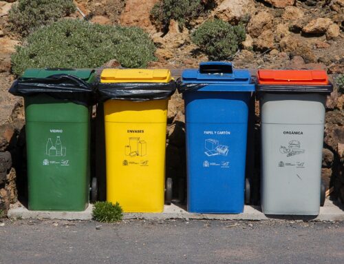 Topic Clusters: How to Elevate Your SEO