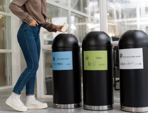 Brand Differentiation: How Bin Cleaning Businesses Stand Out