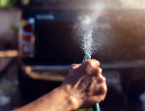 What Makes a Bin Cleaning “About” Page Actually Build Trust
